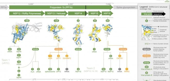 COVID-19-Protein-Modeling-Resource-in-Aquaria-scaled.jpg