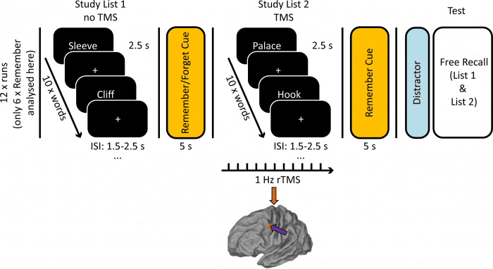 journal.pbio.3001363.g001.PNG