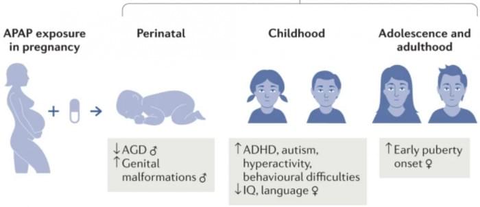 acetaminophen-chart-insert.jpg