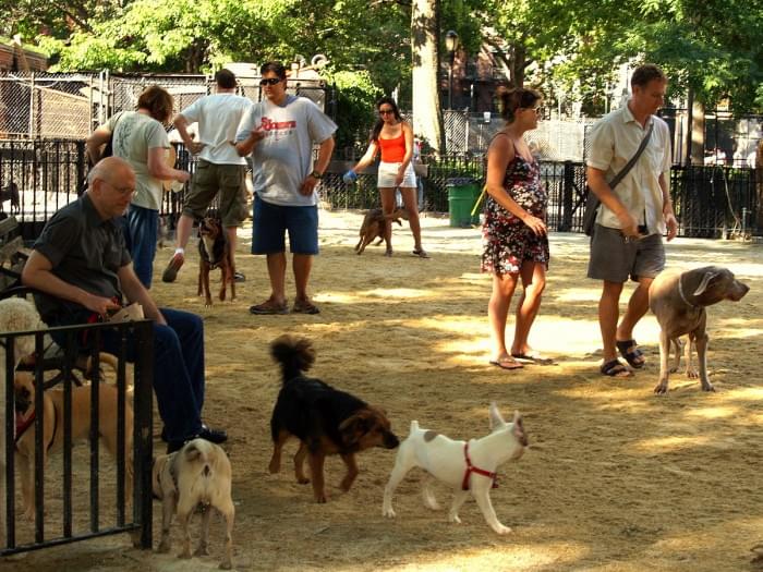 1200px-Tompkins_Square_Big_Dog_Run.jpg