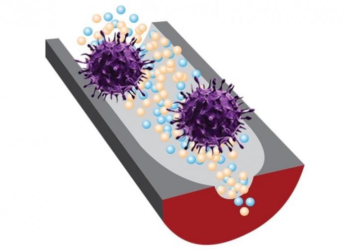 New-Sensor-Can-Distinguish-Infectious-Viruses-From-Noninfectious-777x559.jpg