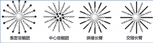 各种“刺猬”分子示意图 