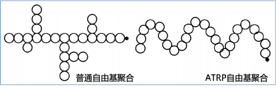 普通自由基聚合形成的支链结构（左）和可控自由基聚合形成的规整结构（右） 