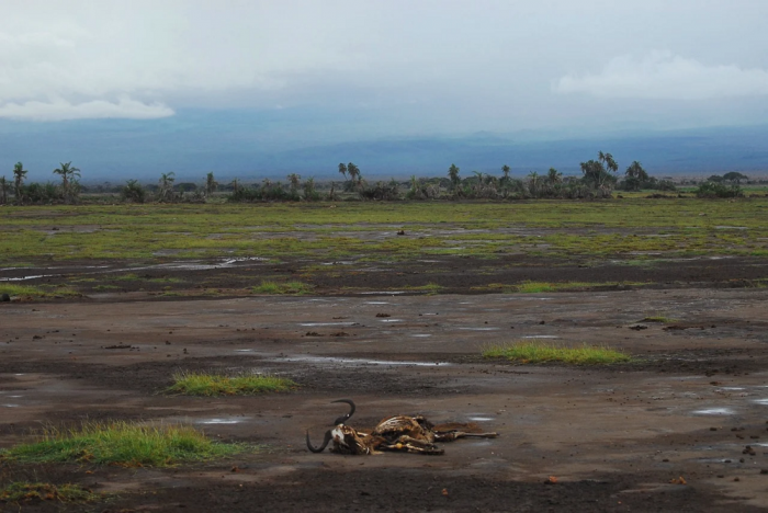 Screenshot_2021-10-07 climate-crisis-4607102_1280 webp（WEBP 图像，1280x856 像素） — 缩放 (73%).png