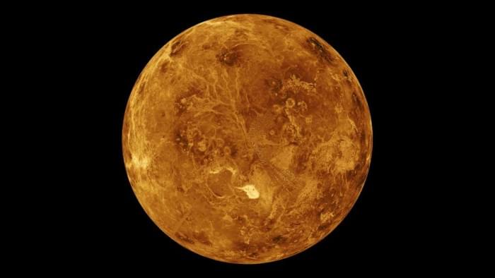 in-venus2.jpg