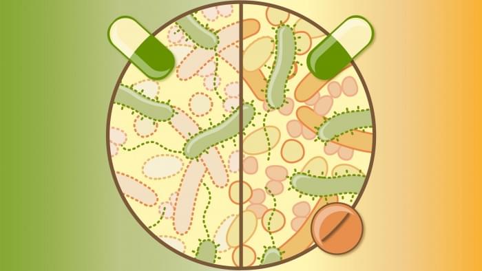 Collateral-Damage-From-Antibiotics-scaled.jpg