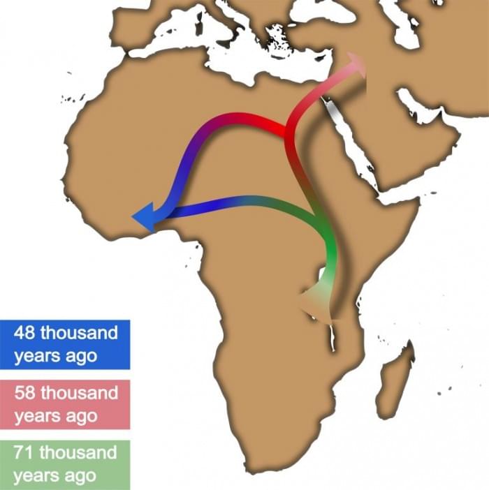 Out-of-Africa-Process-768x770.jpg