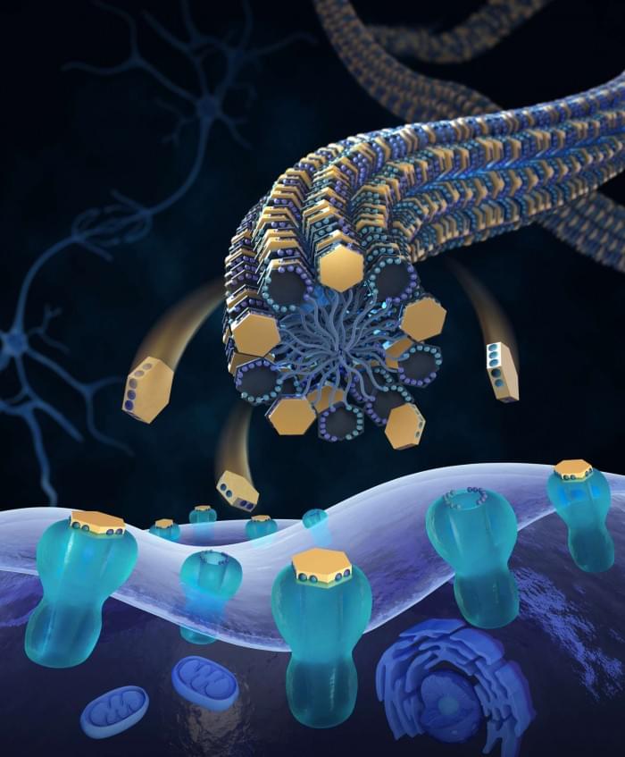 Tetrodotoxin-Delivery-to-Nerve-Sodium-Channels-via-Bioinspired-Nanofibers-scaled.jpg