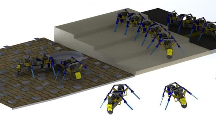 swarm-robots-1280x720.jpg