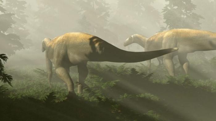 Prosauropod-777x437.jpg