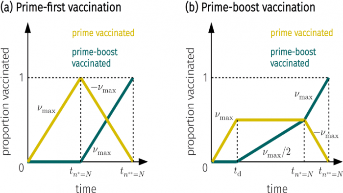 Vaccination-Strategy-Comparison-777x437.png