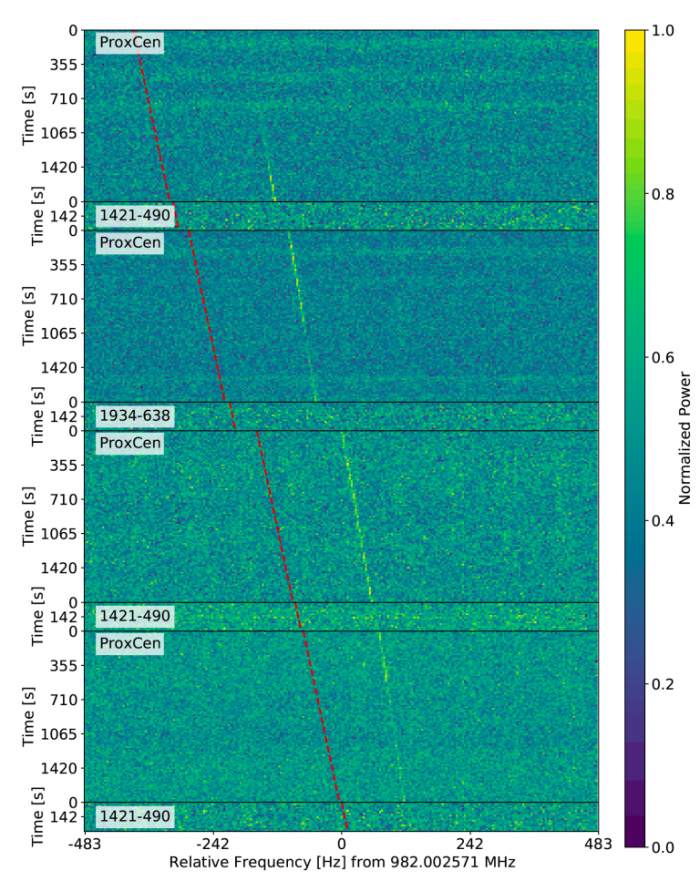 BLC1-Signal-768x967.png