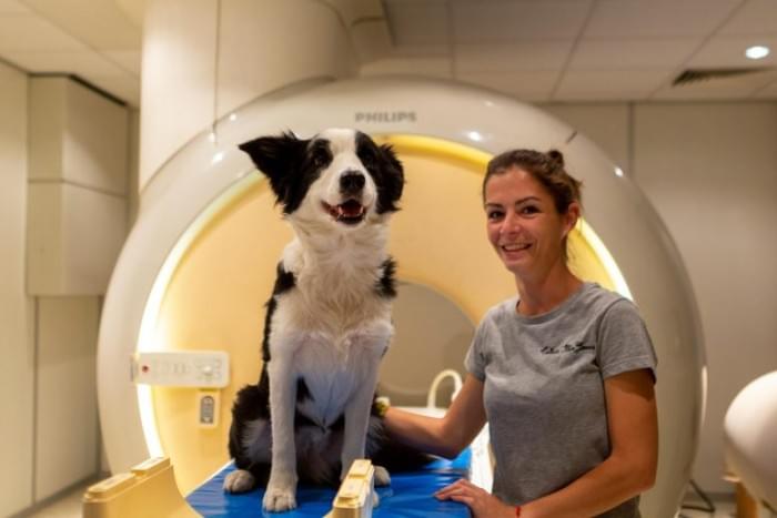 Dog-in-fMRI-With-Trainer-777x518.jpg