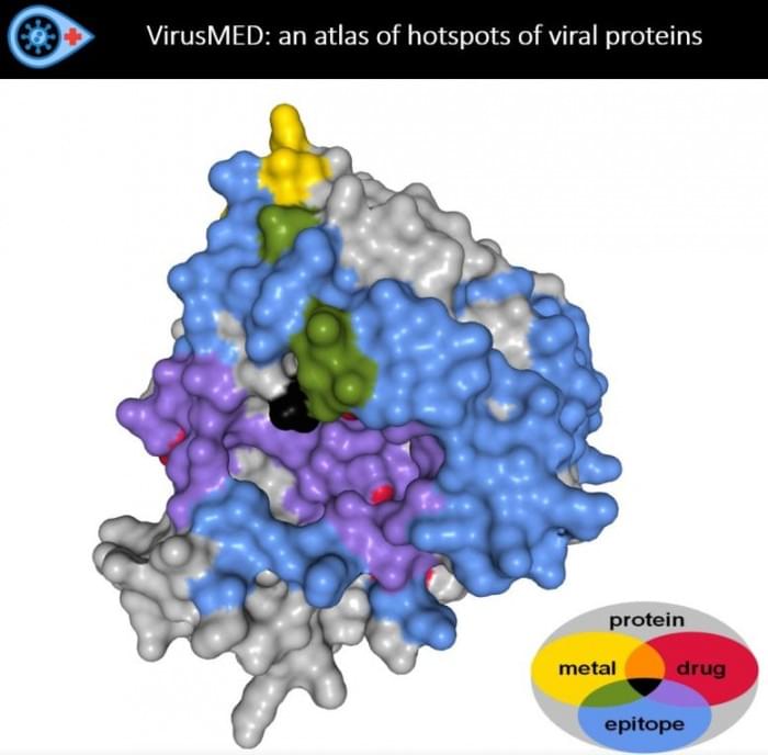 Map-To-Guide-Scientists-to-Victory-Over-Viruses-777x764.jpg