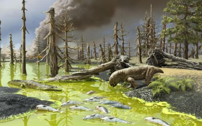 End-Permian-Mass-Extinction-Conditions-777x485.jpg