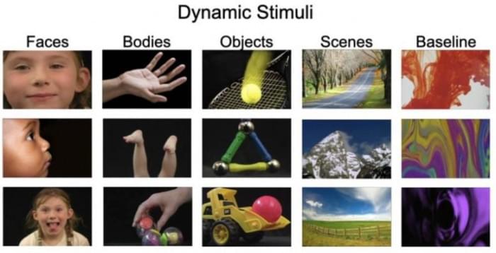 Dynamic-Stimuli-777x397.jpg