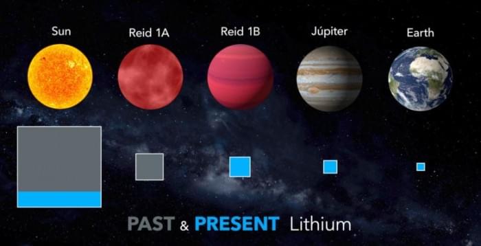 Different-Levels-of-Preservation-and-Destruction-of-Lithium-777x397.jpg