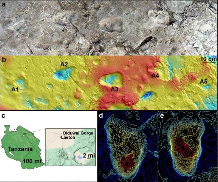 Five-Hominin-Footprints-777x647.jpg