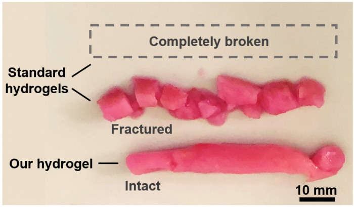 tested_hydrogels.png