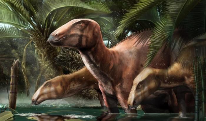 Tethyshadros-insularis-Dinosaurs-777x456.jpg