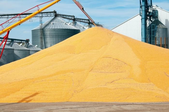 Surplus-Corn-Pile.jpg