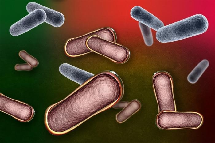 Coating-for-Microbes-To-Treat-Gastrointestinal-Disease.jpg