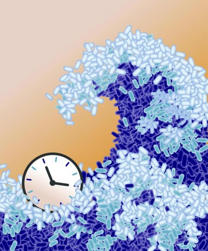 Clock-and-Wavefront-777x939.jpg
