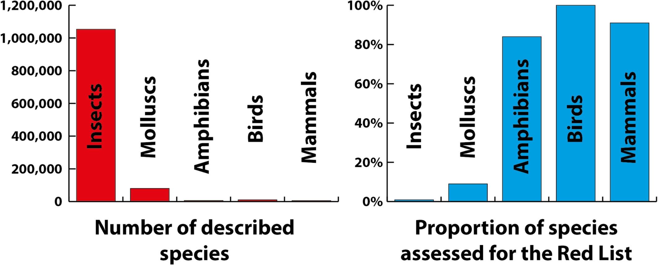 brv12816-fig-0001-m.webp