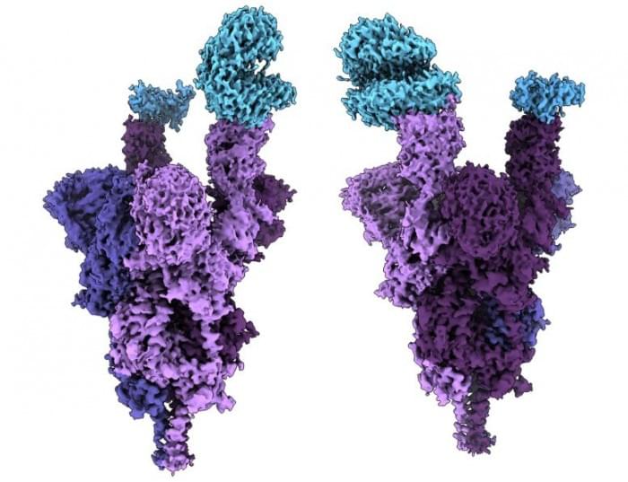 Atomic-Structure-of-Omicron-Variant-Spike-Protein-777x596.jpg