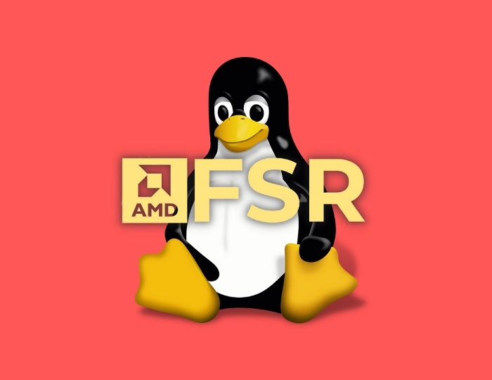 FSR.jpg