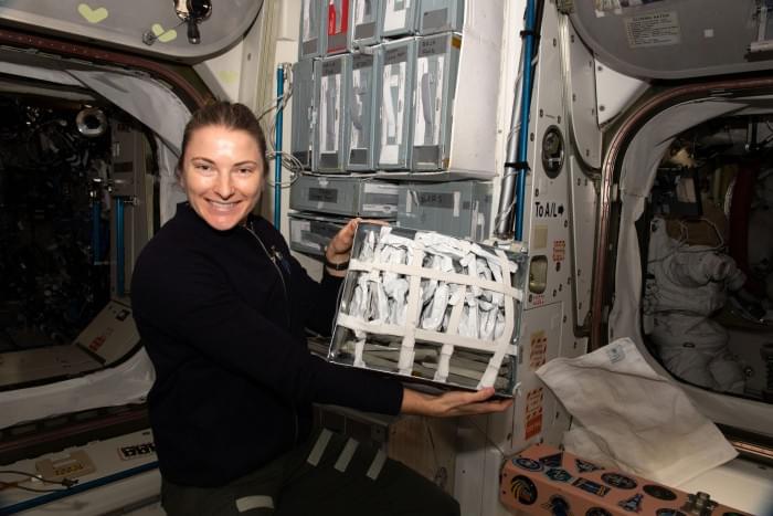 Astronaut-Kayla-Barron-Shows-Off-Food-Packets-scaled.jpg