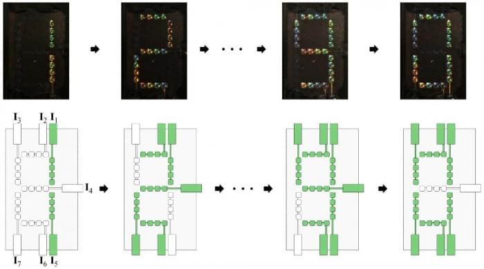 Artificial-Chromatophore-Seven-Segment-Color-Displays.jpg