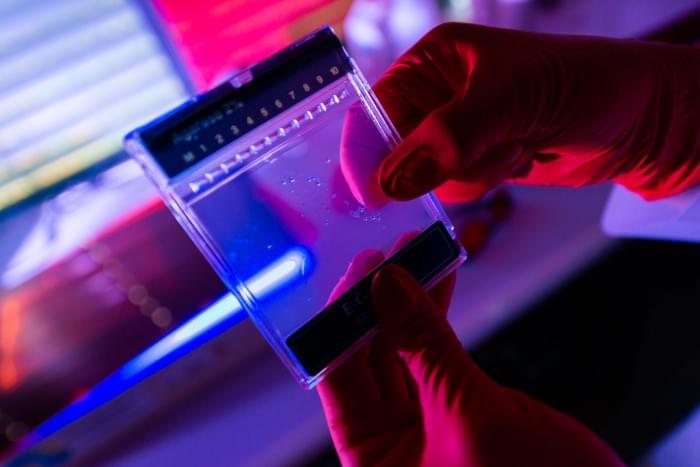 DNA-Analytics-in-Lab-2048x1367.jpg