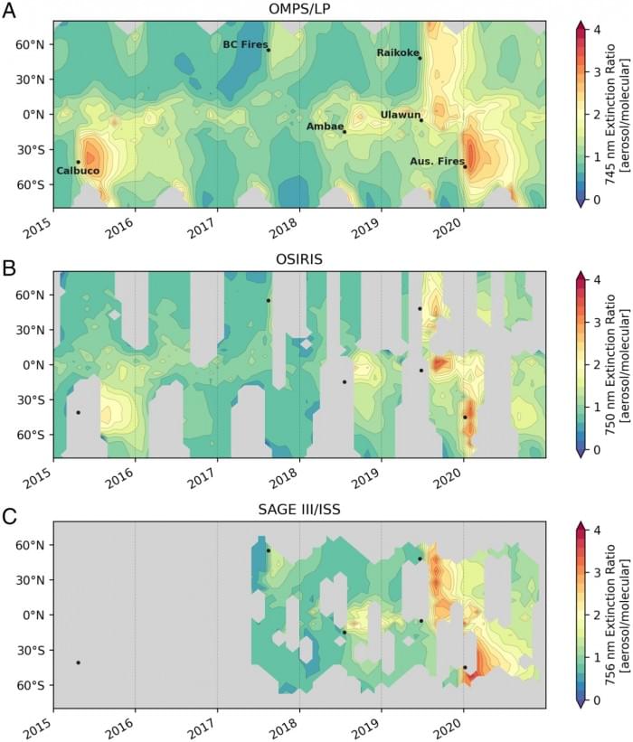 pnas.2117325119fig01.jpg