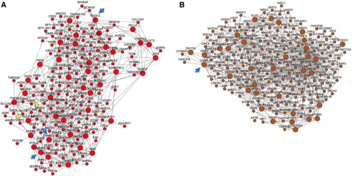 circgen.121.003365.fig07.jpg