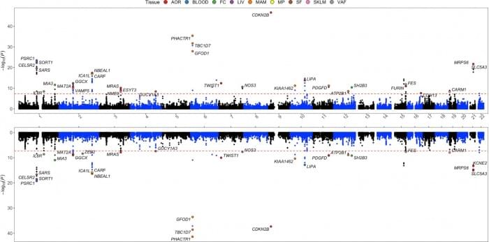 circgen.121.003365.fig02.jpg