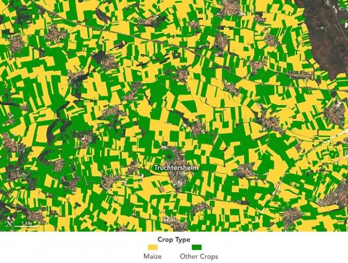 Ground-Truth-Crops-Annotated.jpg