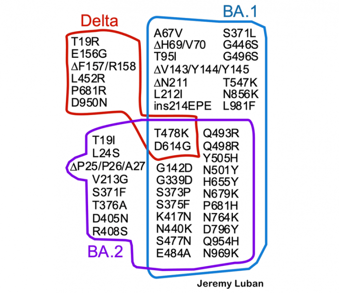 Overlapping-COVID-Mutations.png