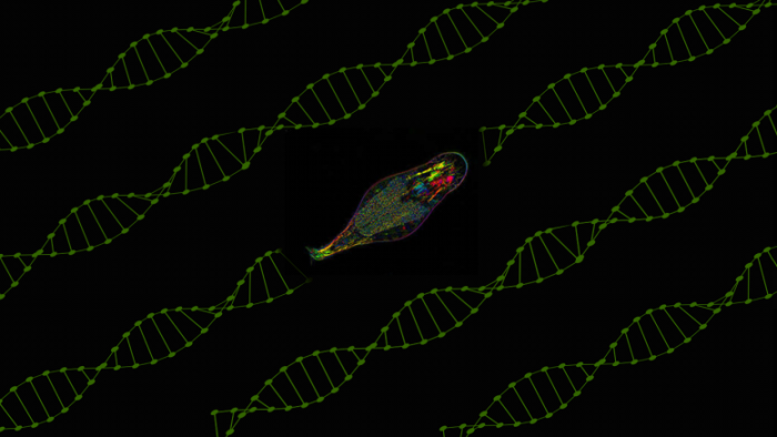 New-Form-of-Genetic-Modification-777x437.png