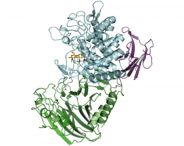 Bacterial-Enzyme-Makes-New-Type-of-Biodegradable-Polymer.jpg