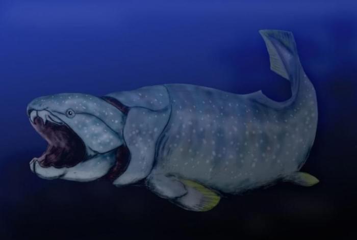 Dunkleosteus-768x517.jpg