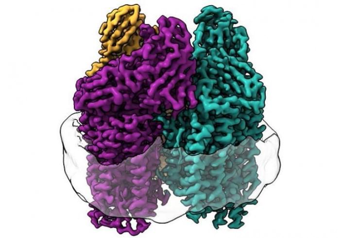 Methane-Eating-Bacteria-768x538.jpg