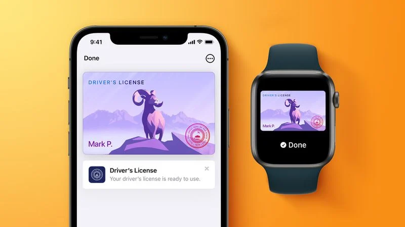 apple-wallet-drivers-license-feature.webp