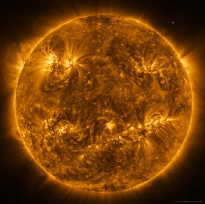 Solar-Orbiter-Captures-Sun-in-Extreme-Ultraviolet-Light-768x765.jpg