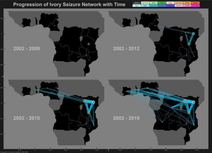 Ivory-Networks-768x554.jpg