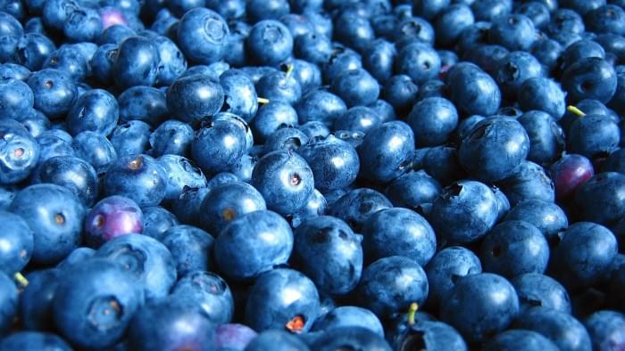 1600px-Blueberries_.jpg