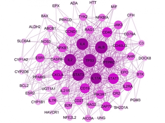 Protein-Protein-Interactions-768x573.png