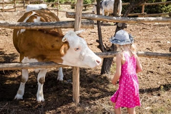 Child-With-Cow-777x518.jpg