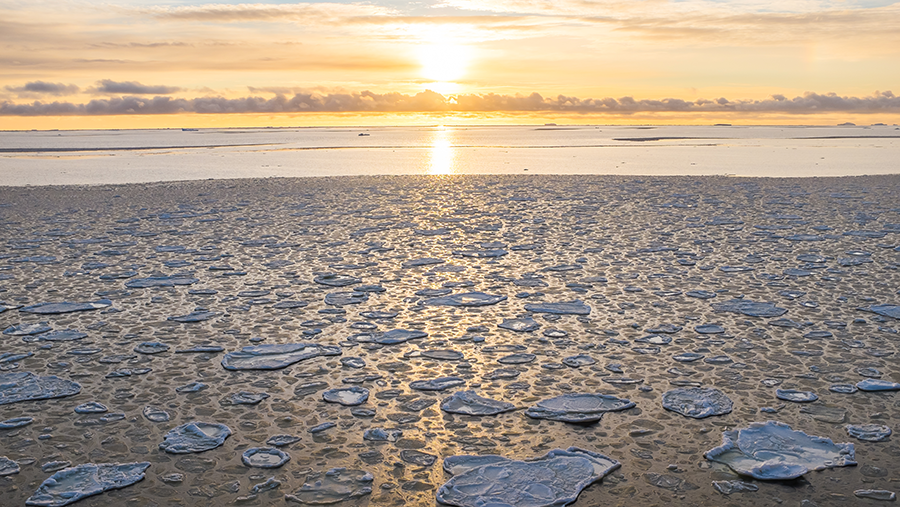 夏季结束，气温逐渐降低，海面上形成的“荷叶冰”。