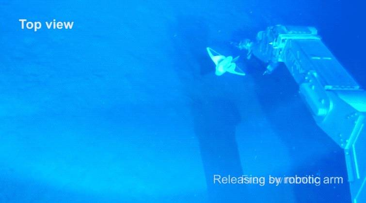 软体机器人在 3224 米深海游动（来源：Nature）<br>